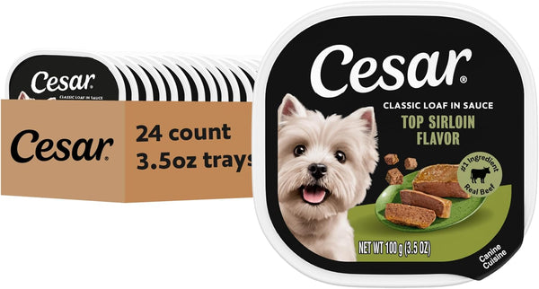 Cesar Classic Loaf in Sauce Wet Dog Food, Filet Mignon, 3.5 Oz, 24 Count | Made in USA, Real Beef #1 Ingredient, No Fillers/Added Sugar/Artificial Flavors, Use as Meal or Topper, Easy Peel Trays17