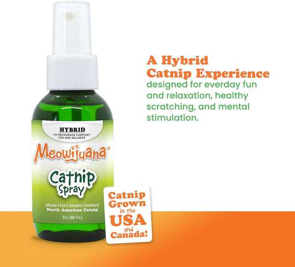 Meowijuana Premium Catnip Spray for Cats, 3 Oz | High Potency | Organic Catnip Oil Spray for Cats, 3 Oz; Redirects Scratching, Revives Toys; Made in USA, Safe for Multi-Cat Homes3