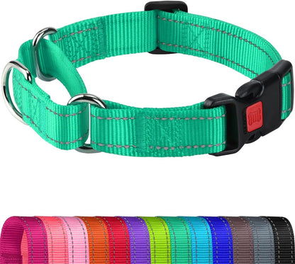 Joytale Martingale Collar for Dogs, Escape Proof No Pull, Hotpink, M | Gentle Cinch Stops Pulling without Choking, Safety Lock Buckle, Reflective Stitching for Night Walks, Soft Nylon12