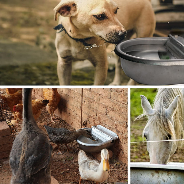 Automatic Water Dispenser for Dog Water Bowl Dispenser Large Size Stainless-Steel Waterer Feeder Self Filling Water Trough for Poultry and Livestock (Stainless Steel, Large)2