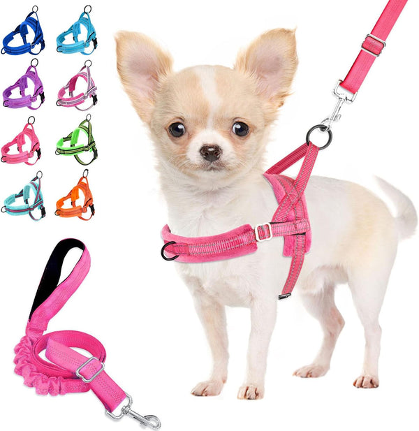 Lukovee No Pull Dog Harness and Leash Set, Soft Padded Small Dog Harness, Neck & Chest Adjustable Reflective Vest Puppy Harness with 4Ft Lightweight Anti-Twist Dog Leash for Small Dogs (XS, Blue)15