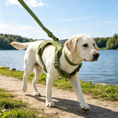 4-In-1 No Pull Dog Harness Set with Collar, Leash, Poop Bag, Adjustable, S5