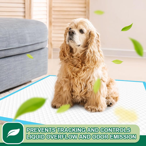 IMMCUTE Puppy Pads 22"X23" 100 Count | 6-Layer Leak-Proof & Super Absorbent Dog Training Pads | Disposable Potty Pads for Puppies, Dogs, Cats & Rabbits | Blue & White5