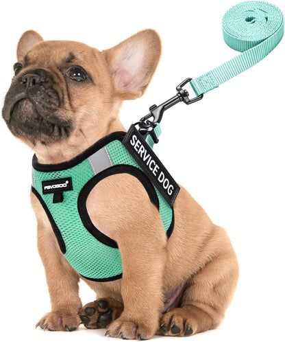 FAYOGOO Service Dog Vest for Small Dogs - Lightweight Dog Harness with 6PCS Removable Patches - Puppy Harness and Leash Set for Walking,Training11
