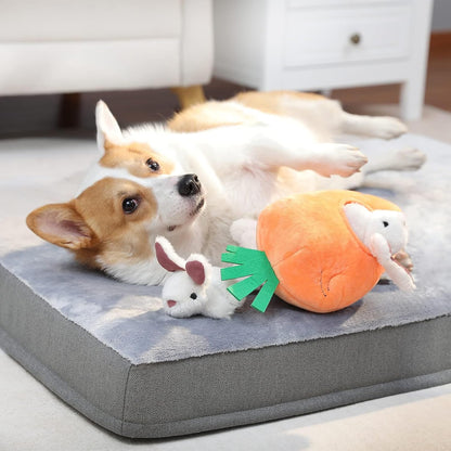 Amazon Basics Interactive Hide and Seek Squeaky Dog Plush Toy with Squeaker for Small Dogs, Rabbit and Carrot, Orange and White, 5-Pack9