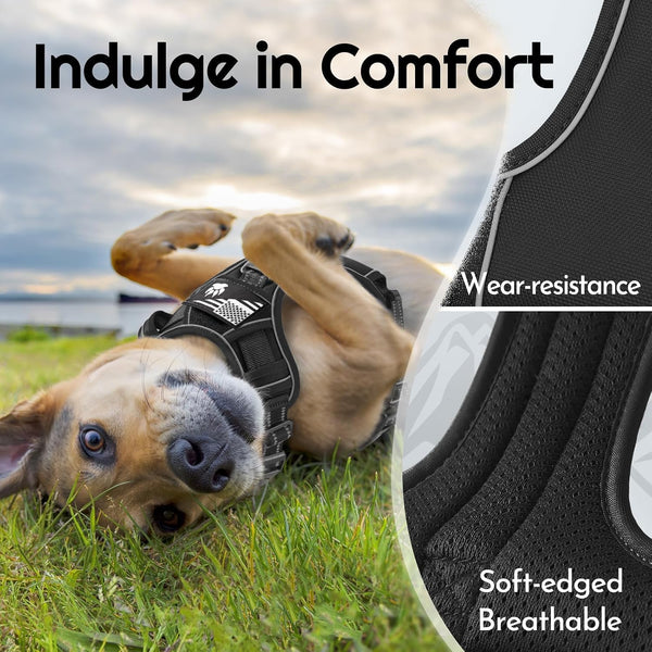 Eagloo Dog Harness No Pull for Large Dogs, Easy on & off with 3 Buckles | No Choke with Front Clip, Adjustable Fit, MOLLE System, Reflective Vest, Easy Control for Walking, Black, Large6