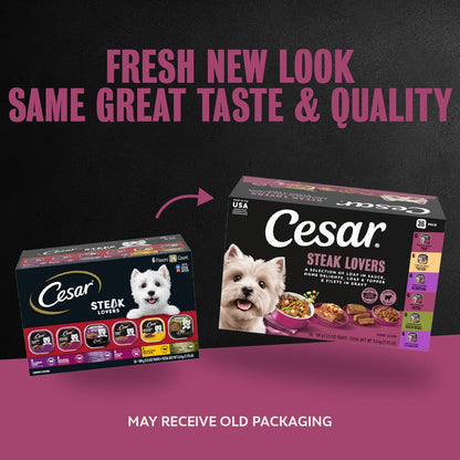 Cesar Wet Dog Food, Steak Lovers Variety Pack, 3.5 Oz, 36 Count | Real Meat #1 Ingredient, Easy Peel Trays, 100% Complete & Balanced, No Fillers, No Added Sugar, No Artificial Flavors2