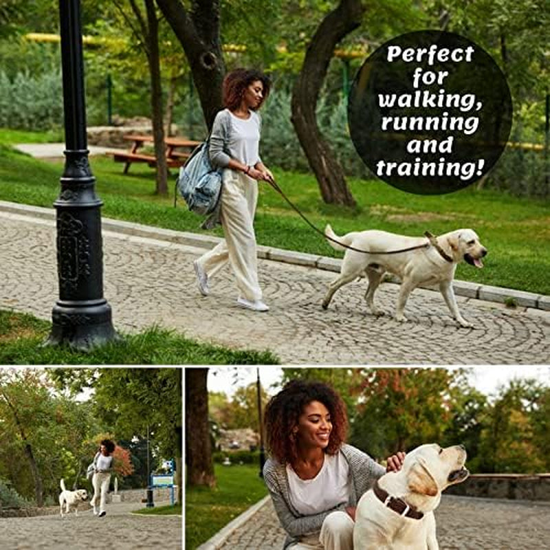 adityna-leather-dog-leash-for-small-medium-dogs-6ft-x-5-8-soft-yet-strong-leather-leash-for-walking-training-hiking-great-for-shih-tzu-poodle-french-bulldog-corgi
