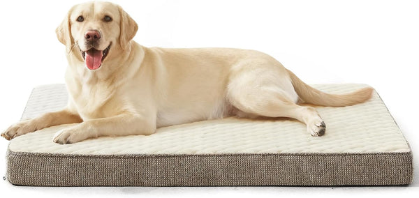 JOEJOY Orthopedic XL Dog Bed for Large Dogs, Waterproof Dog Bed for Crate with Washable Removable Cover, Extra Thick Egg-Crate Memory Foam Pet Beds, Grey, 41"X27"18