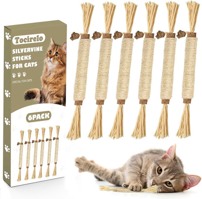 Tocirelo Silvervine Sticks Cat Toys - 6Pack Natural Cat Chew Toy Teeth Cleaning, Matatabi Dental Care Kitten Treat, Catnip Cat Teething Toys, Catmint Silver Vine Sticks for Bored Indoor Kitty1