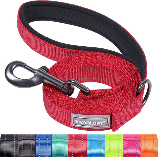 VIVAGLORY Dog Leash Puppy Leash for Collar, 3Ft X 1In, Black | with Soft Padded Handle for Training & Walking, Heavy Duty & Double Layer Nylon Pet Puppy12