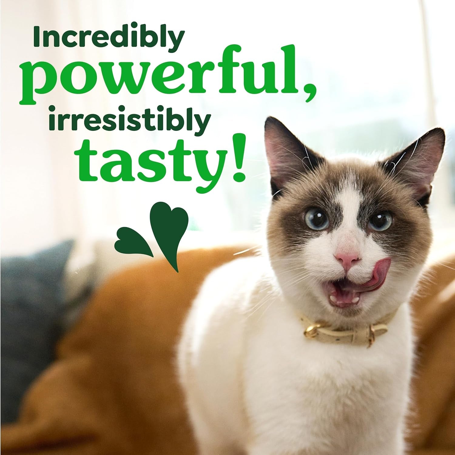 greenies-feline-natural-crunchy-dental-cat-treats-salmon-flavor-21-oz-1-vet-recommended-clinically-proven-oral-care-36-less-tartar-in-28-days-cleans-to-gumline-natural-ingredients