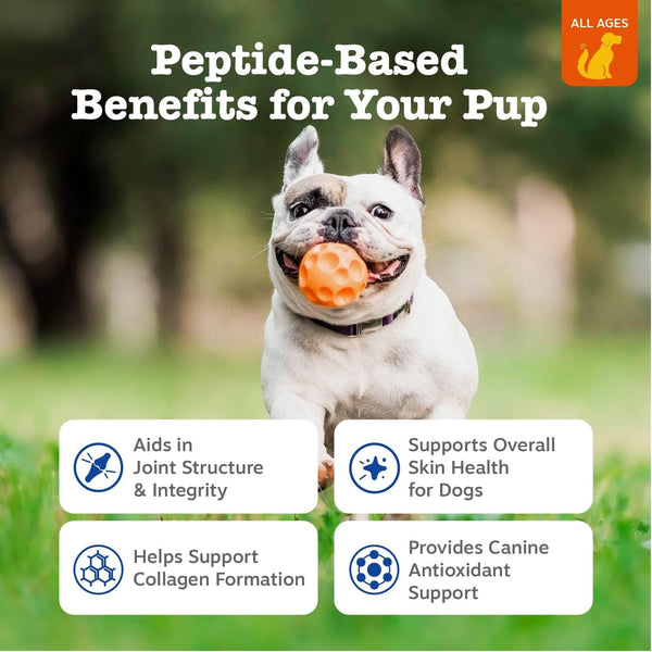 Zesty Paws Multi Collagen Soft Chews for Dogs - for Hip, Joint & Cartilage Support + Skin Health - with Collagen - plus Eggshell Membrane, Vitamin C & Hyaluronic Acid - 90 Count2