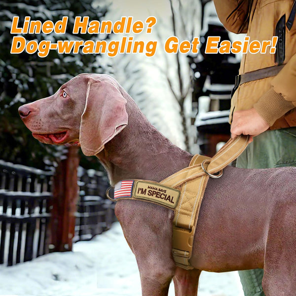 Forestpaw No Pull Dog Harness with Large Handle,Comfortable,L,Brown | Adjustable Fits Chest 26-31",50-80 Lbs,Slip On,Quick Release,Easy Control,Soft Padded,For Medium Large Dogs Walking Training3
