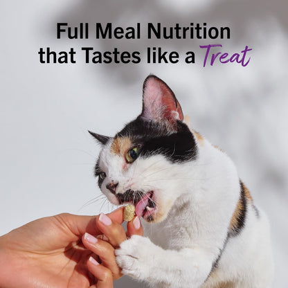 Stella & Chewy'S Freeze-Dried Raw Cat Dinner Morsels - Premium Chicken Recipe with 98% Cage-Free Meat & Organs - Natural Grain-Free Cat & Kitten Food - Made in USA - 3.5 Oz11