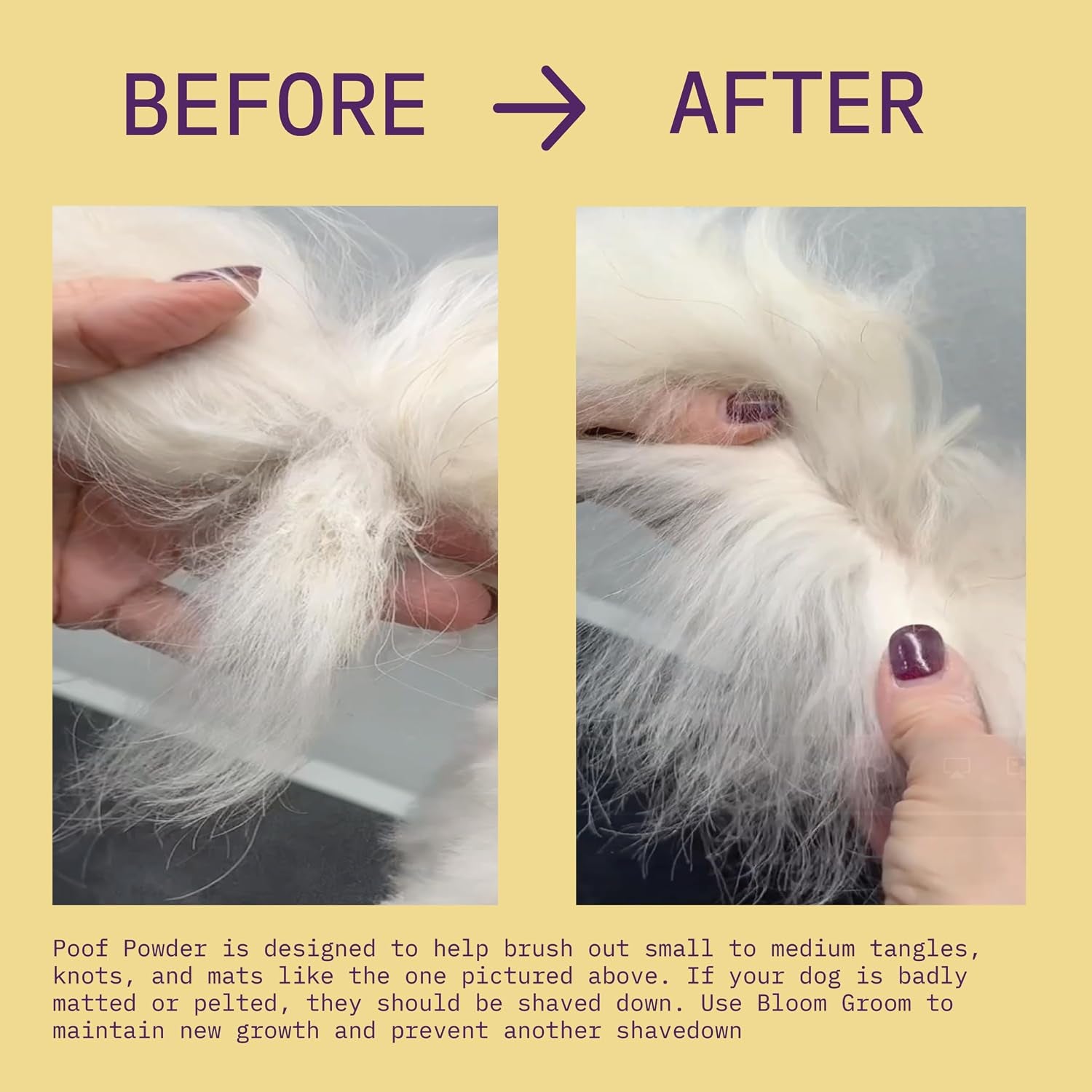 poof-powder-waterless-dry-shampoo-and-detangler-for-dogs-demat-detangle-deodorize-talc-free-non-toxic-made-in-usa-for-mat-prone-coats-doodles-poodles-and-more-1-52-oz
