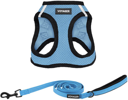 Best Pet Supplies Voyager Step-In Air All Weather Mesh Harness and Reflective Dog 5Ft Leash Combo with Neoprene Handle, for Small, Medium and Large Breed Puppies - Baby Blue, Small9