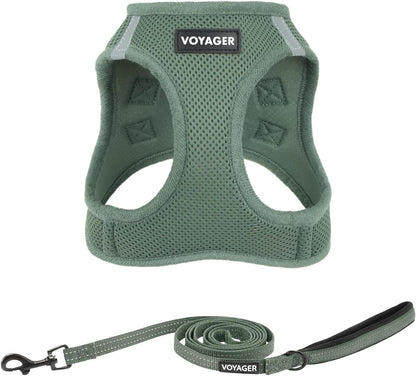 Best Pet Supplies Voyager Step-In Air All Weather Mesh Harness and Reflective Dog 5Ft Leash Combo with Neoprene Handle, for Small, Medium and Large Breed Puppies - Baby Blue, Small36