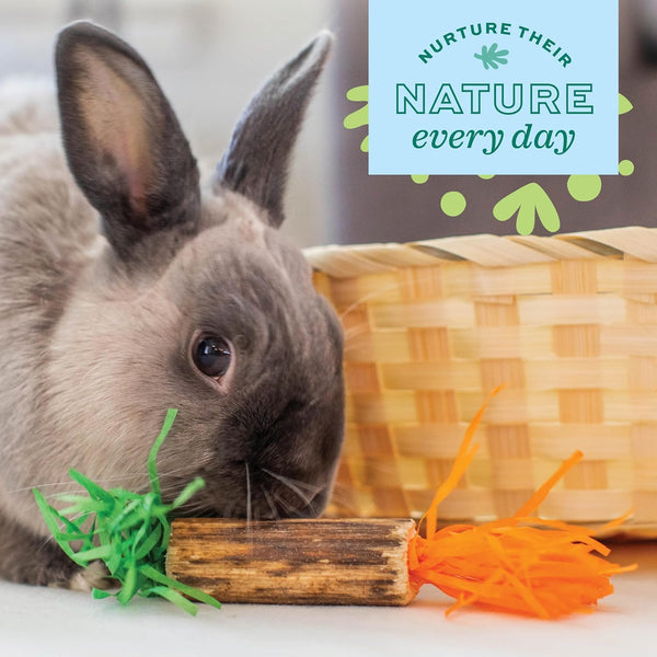 Oxbow Birthday Party Pack, Rabbit & Guinea Pig Toys, Bunny Enrichment Toys | Rabbit Chew Toys, Guinea Pig Enrichment, Guinea Pig Chew Toys, Rabbit Enrichment, Natural Materials, Small Pet Accessories6