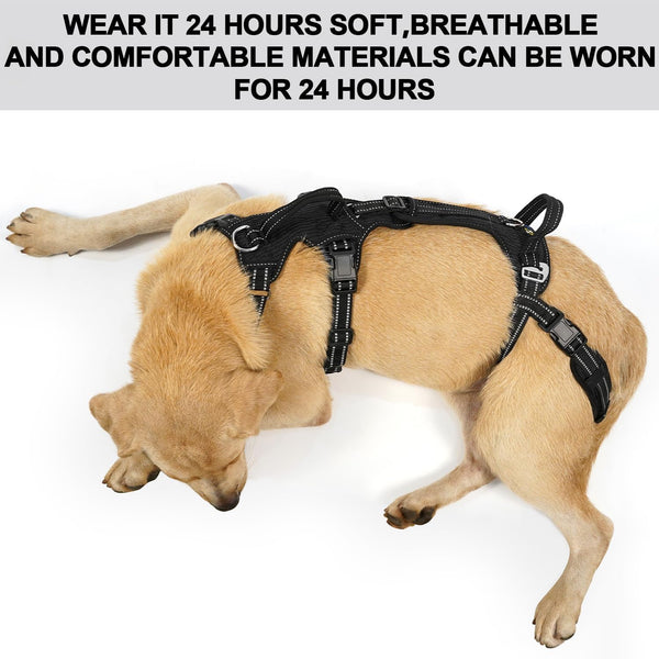COODEO Mobility Dog Lift Harness, Support Sling & Walking Sling for Dogs, Pet Rear Leg Rehabilitation Support Vest, Dog Carrier for Senior Dogs with Joint Injuries, Arthritis, up Stair (Black, L)7