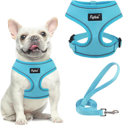 PUPTECK Soft Mesh Dog Harness Small Sized and Leash Set Pet Puppy Cat Comfort Padded Vest No Pull Harnesses, Beige, S50