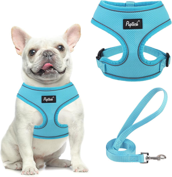 PUPTECK Soft Mesh Dog Harness Small Sized and Leash Set Pet Puppy Cat Comfort Padded Vest No Pull Harnesses, Beige, S50