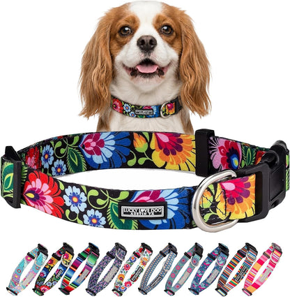 Lucky Love Dog - Easy Click Buckle Dog Collar with Leash Set Combo, Durable & Comfortable for Male & Female Dogs, Pet Collar for Medium Dogs, Secure Fit - Blackbird Combo, Medium94