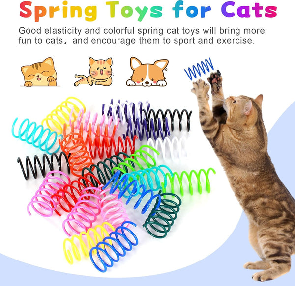 60 PCS 12 Colors Cat Spring Toys, Cat Spiral Springs for Indoor Cats, Kittens Toys Plastic Coil for Swatting, Biting, Hunting4