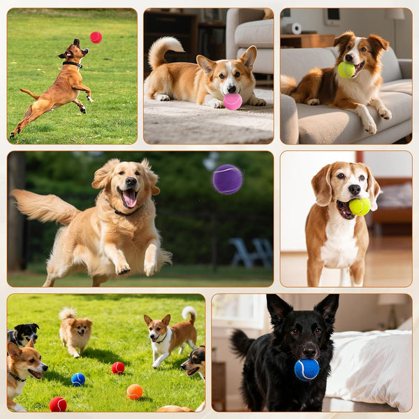 FURWEY Tennis Balls for Dogs 16 Pack,2.5 Inches,Durable and Non-Toxic Dog Toys Balls with Mesh Bag,Colorful Fetch Toys Balls for Pet Dog (Non Squeaky)9