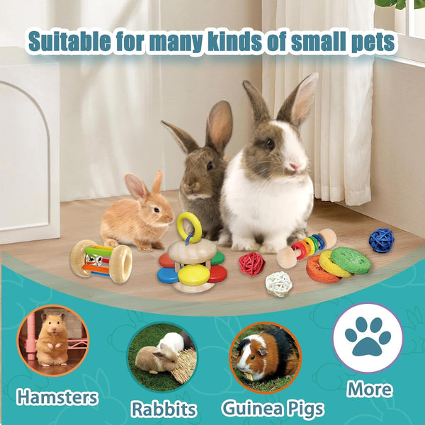 QWR 9PCS Wooden Bunny Toys,Safe Rabbit & Guinea Pigs Teeth Grinding Toy for Chinchillas, Hamsters & Small Animals - Indoor & Outdoor6