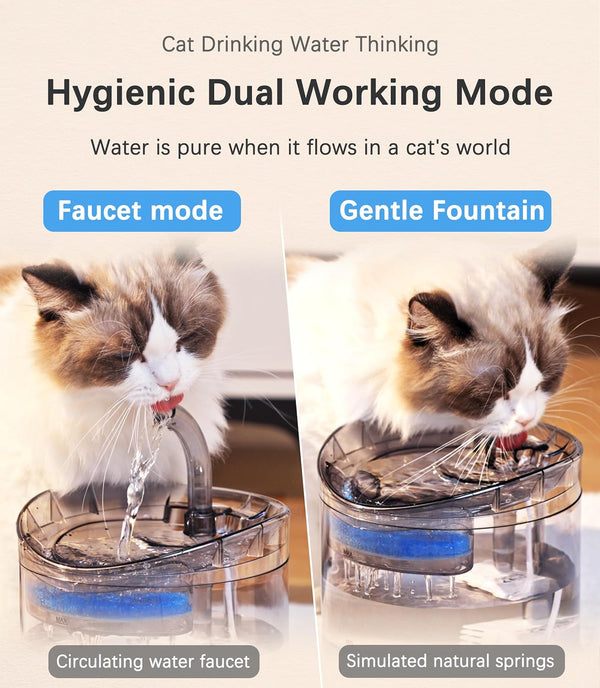 HAPUP Cat Water Fountain Animal Water Dispenser 61OZ/1.8L Automatic Pet Drinking Fountain Clear Upgrade with 2 Filter Replacement 1 Adjustable Silent 1 Water Pump for Cats Kitty Indoor3