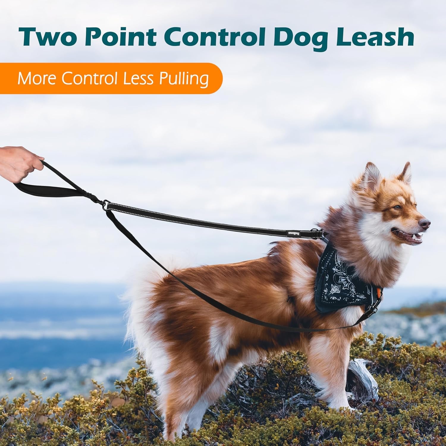 petbonus-two-point-control-dog-leash-no-tangle-training-walking-leashes-soft-padded-handle-reflective-works-with-no-pull-harnesses-converts-to-single-lead-for-medium-large-dogs-black