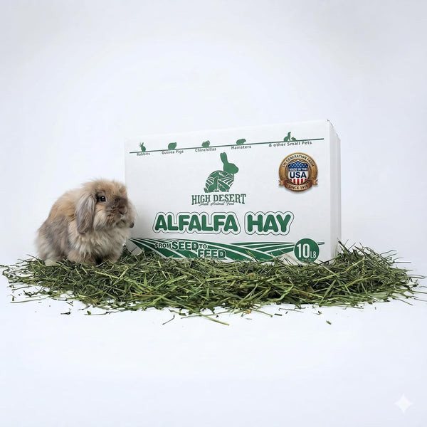 High Desert Alfalfa Hay, Protein Rich Soft Leaf Food for Young Growing Animals, Natural Rabbit Food and Guinea Pig Hay, Supports Digestive Health, Small Pet Supplies, Fresh Hand Packed 5 Lb Box | Protein Rich Soft Leaf Forage, Ideal for Growing Kits and Nursing Mothers, Great Calcium Source, Hand Packed, Low Dust11