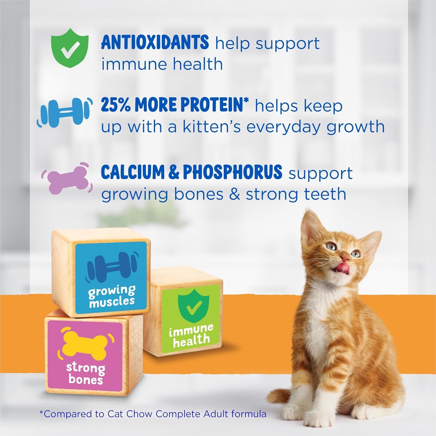 purina-kitten-chow-year-one-essentials-with-real-chicken-high-protein-complete-and-balanced-dry-kitten-food-with-essential-nutrients-14-lb-bag