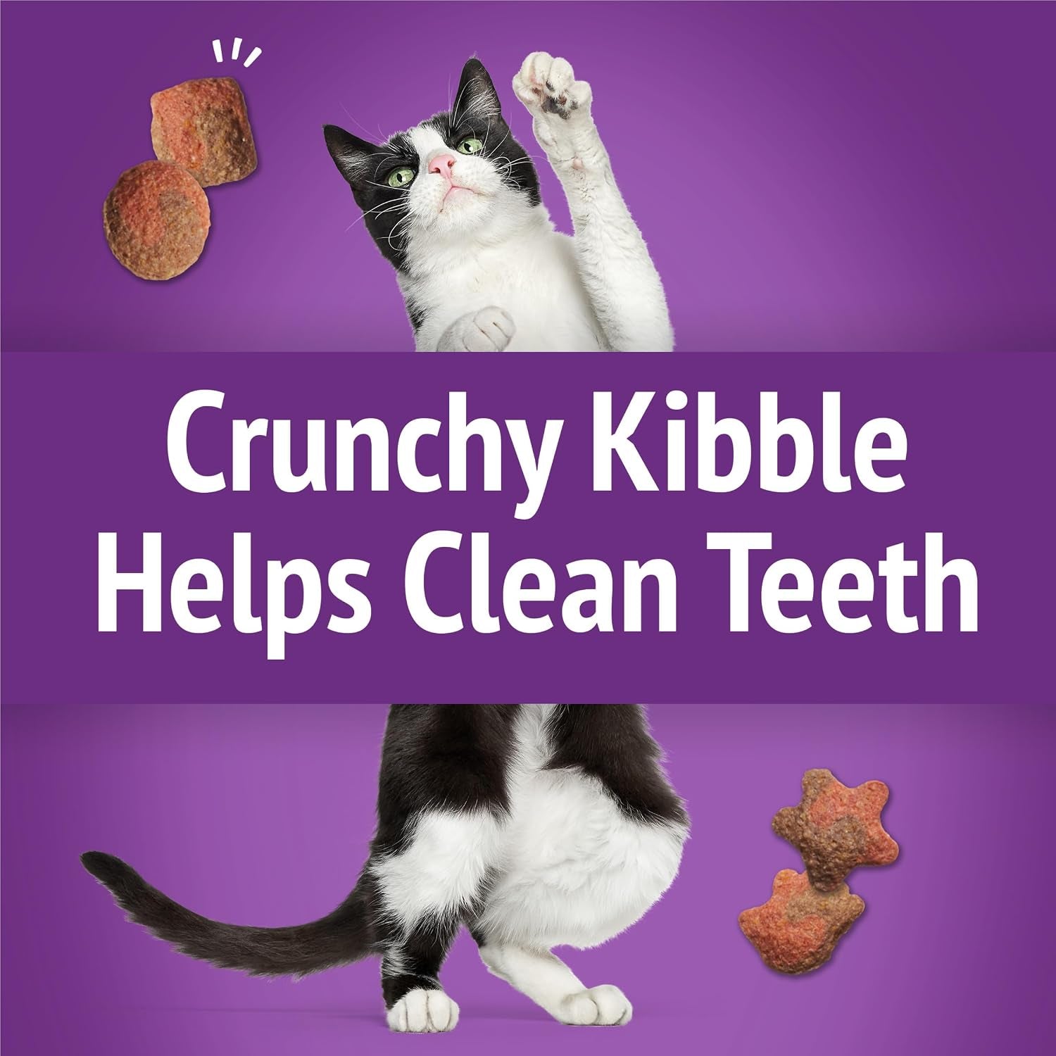 purina-friskies-cat-treats-party-mix-gravy-licious-crunch-turkey-and-gravy-flavors-pack-of-6-6-oz-pouches