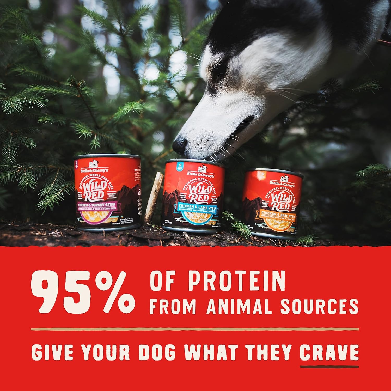 stella-chewys-wild-red-wet-dog-food-variety-pack-stews-high-protein-recipes-10-ounce-pack-of-3