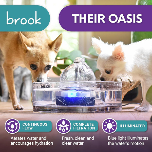 Brook Glass Cat Water Fountain 90Oz – Dishwasher Safe Pet & Dog Fountain | Automatic 2.7L Drinking Water Dispenser – Quiet, Easy to Clean Glass Bowl, Filters Included – for Indoor Cats, Kittens & Dogs2
