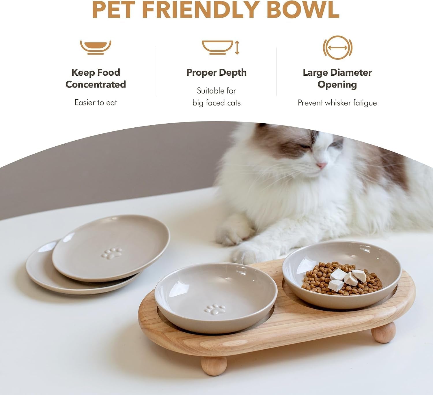 havniva-elevated-cat-bowls-cat-food-and-water-bowl-set-ceramic-cat-bowl-raised-cat-food-bowls-whisker-friendly-5-6-shallow-cat-dishes-6-wide-cat-plates-non-slip-wood-stand-two-heights