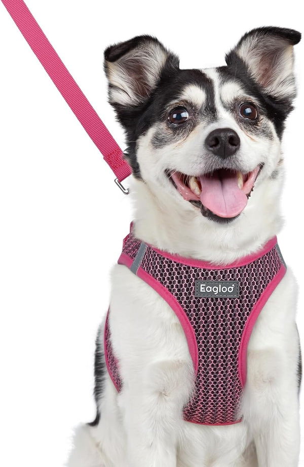 Eagloo Small Dog Harness and Leash Set, Step in Small Sized Puppy Pet Vest | Light, Soft, Breathable Air Mesh, Easy on and off with Hook & Loop, Reflective for Safe Walking, Pink, S38