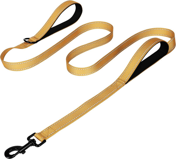 Joytale Reflective Dog Leash for Medium & Large Dogs, 6 FT X 1", Black | Heavy Duty Nylon Webbing, Padded Handle for Comfort, Visible at Night, for Walking & Training12