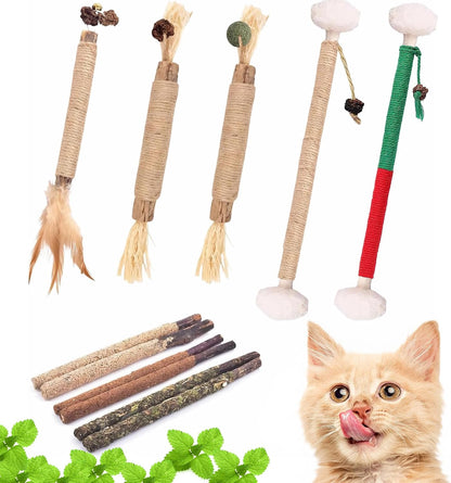 Natural Silvervine Cat Chew Toys for Dental Care | 11-Piece Natural Silvervine Chew Toys. Promotes Cat Dental Health, Aids Digestion, and Safely Expels Hairballs.1