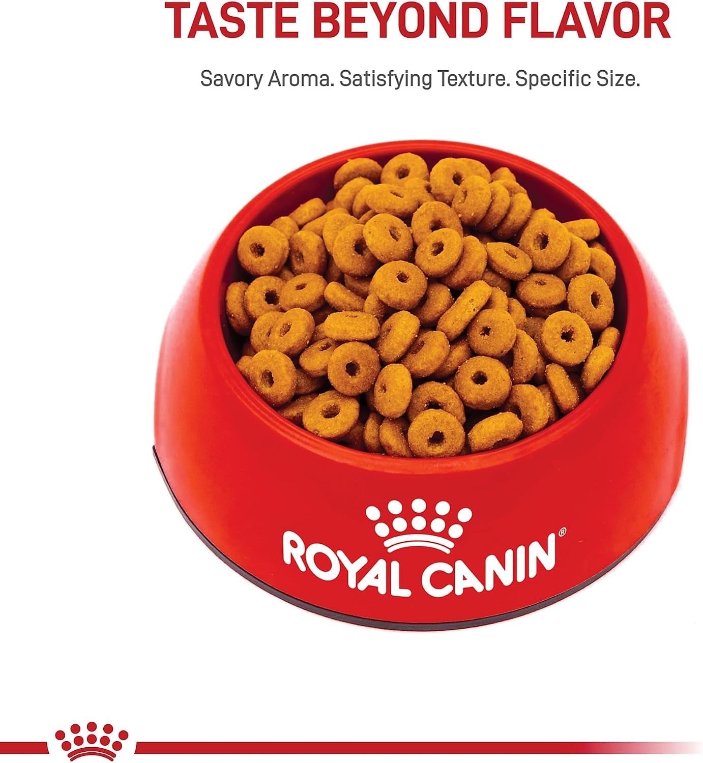 royal-canin-feline-care-nutrition-digestive-care-adult-dry-cat-food-6-lb-bag