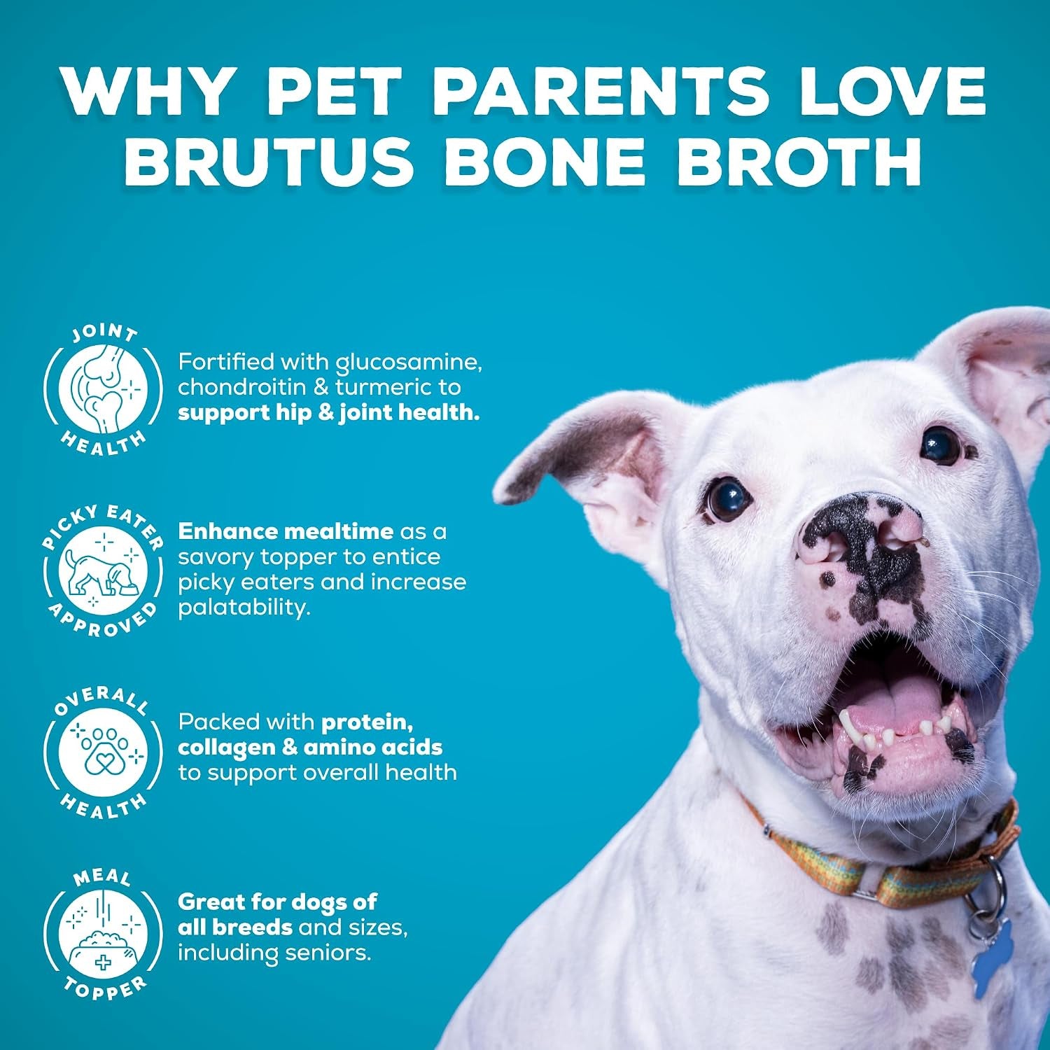 brutus-beef-bone-broth-for-dogs-all-natural-dog-bone-broth-with-liquidchondroitin-glucosamine-turmeric-human-grade-dog-food-toppers-for-picky-eaters-tasty-nutritious-16-9oz-pack-of-6