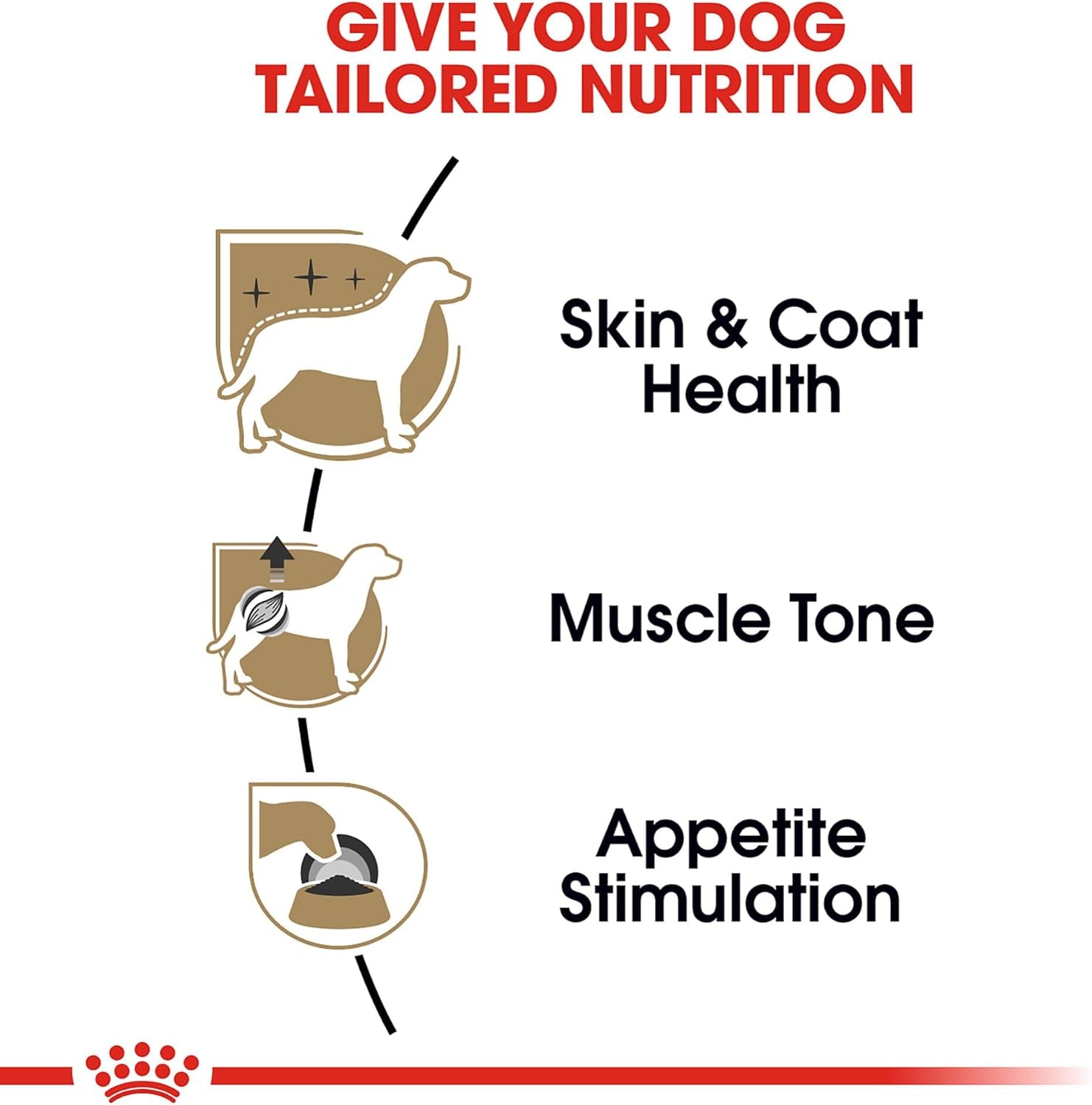 royal-canin-breed-health-nutrition-poodle-adult-loaf-in-sauce-dog-food-3-oz-pack-of-6