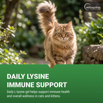Vetoquinol Viralys - Lysine Supplement for Cats & Kittens - Supports Eye Wellness, Respiratory Health & Immune Strength - Flavored Oral Gel for Easy Feeding & Daily Use for Picky Eaters - 5Oz2