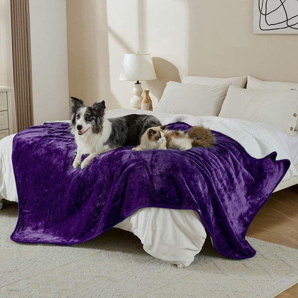 Waterproof Blanket for Bed Couch Sofa, Soft Liquid Pee Proof Pet Blanket for Dog Puppy Cat, Reversible Sherpa Fleece Furniture Protector (Dark Purple, 50X60 Inches)4
