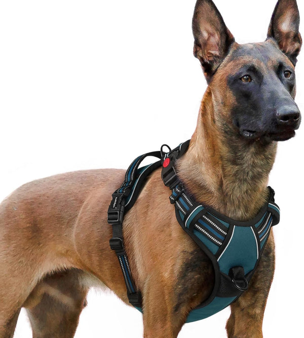 Rabbitgoo Dog Harness Medium Sized, Updated Easy on & off with 3 Buckles | No Pull No Choke, Walking with 2 Clips and Handle, Adjustable Soft Reflective, Blue, Medium11
