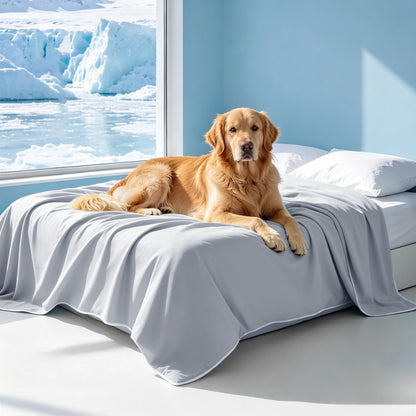 Mora Pets Premium Cooling Blanket for Dogs, Q-MAX>0.5 Washable Breathable Cooling Mat, Lightweight Soft Summer Pet Throw Blanket, Furniture Protector Bed Couch Cover for Small Dog Cat, Gray, 29X4012