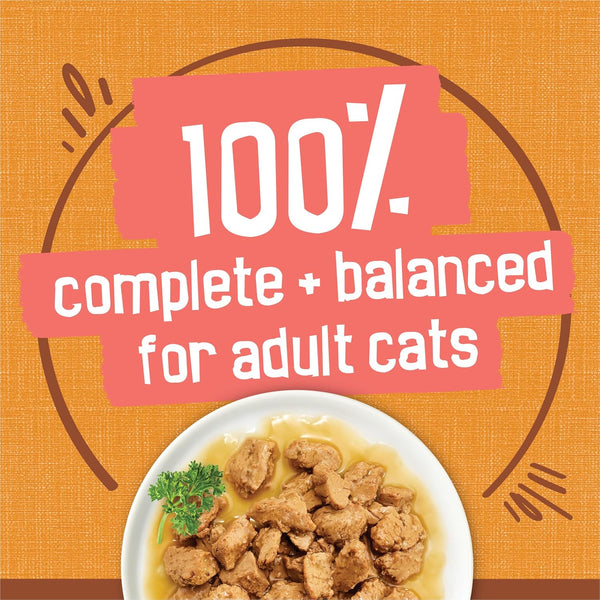 Purina Friskies Extra Gravy Wet Cat Food Chunky Chicken in Savory Gravy - (Pack of 24) 5.5 Oz. Cans6