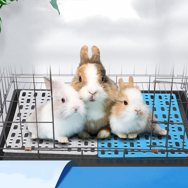 Lyellfe 12 Pack Plastic Rabbit Cage Mat with Snap Joint | Durable Rabbit Floor Mat, Foot Resting Pads for Pet Cats Dogs Bunny, Assorted Colors7